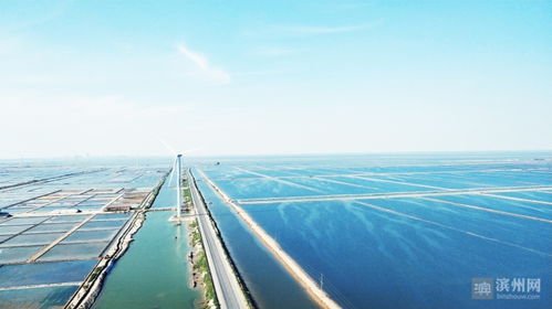 滨海镇 风电走廊 一年发电10亿度