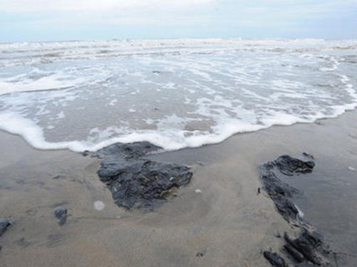 三友化工污染铸就 死海 ,严重危害着渤海生态环境